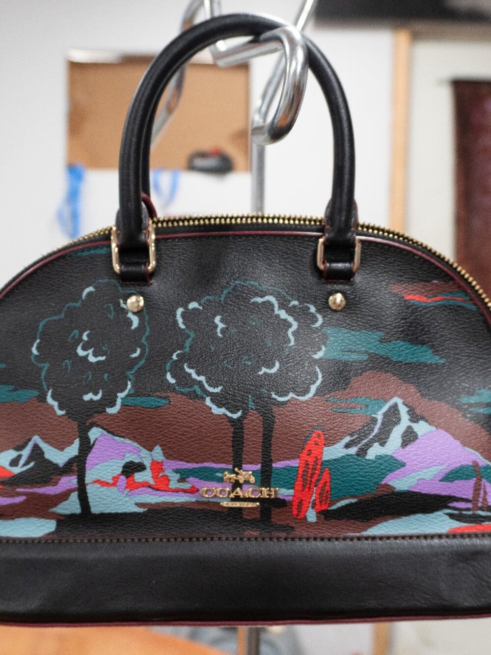 Coach F13937 Mini Sierra Landscape Print Satchel Black Multi
